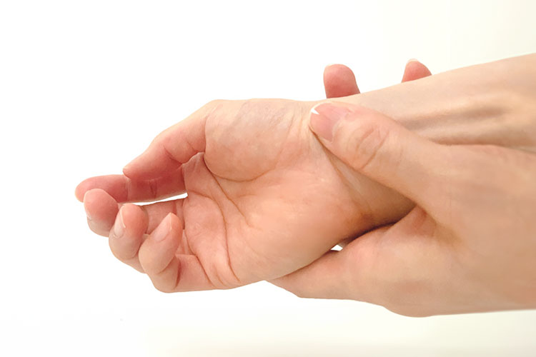 cardiovascularイメージ