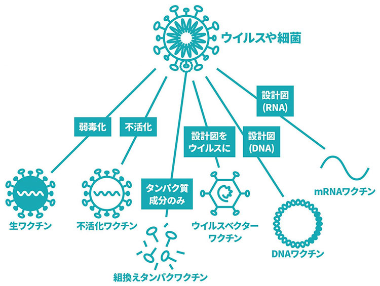 主なワクチンの種類